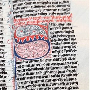 MS UTS 47, detail from the prologue to Paralipomenon I, “Si septuaginta,” showing a typical red and blue painted initial with pen scrollwork.