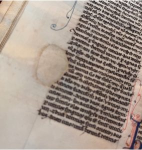 MS UTS 47, detail of early parchment repair from user damage -- a paragraph in a book with what looks like a page-colored patch covering some text