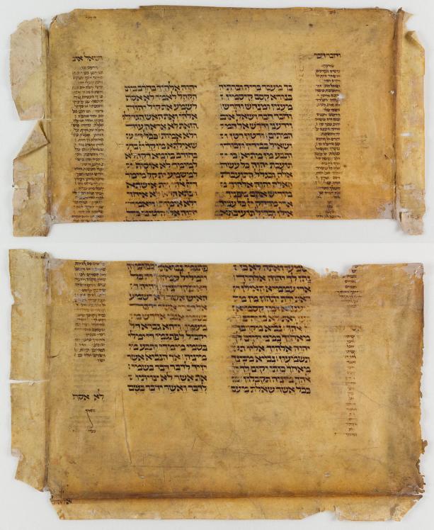 Recent Acquisition: Sefer Torah Scroll Fragments