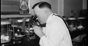 Dr. Charles Armstrong, Public Health Surgeon and Specialist on virus diseases, photographed in the laboratory in D.C., 1935. From Library of Congress. 