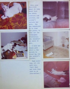 Letter with Cat Photographs