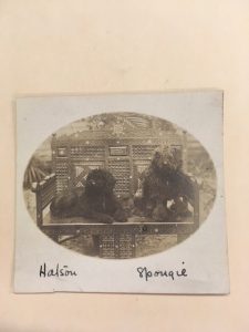 Hatson and Spongie, Stephen and Cora Crane's black dogs