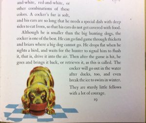 Dogs from Taber's First Book of Dogs